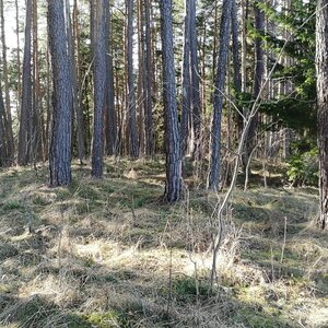 Vladimír Grančay na vrcholu Bukovec - JZ vrchol II (5.2.2024 14:17)