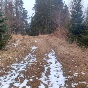 PA!WELL na vrcholu Humenec S (23.2.2025 15:10)