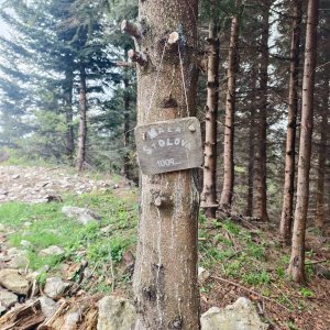 Ila na vrcholu Malá Stolová (14.5.2026 8:41)
