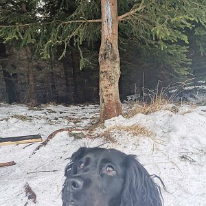 Stavinožka44 na vrcholu Malá Stolová (2.1.2021 12:05)
