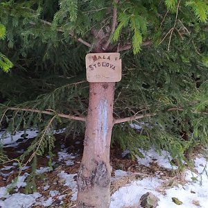 Lucca na vrcholu Malá Stolová (3.1.2021 8:00)