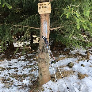 Janča na vrcholu Malá Stolová (3.1.2021 11:33)