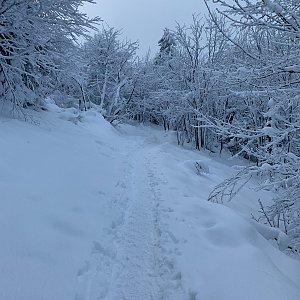 Jaryn na vrcholu Malá Stolová (9.1.2021 11:44)
