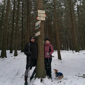 Jana Kollegová na vrcholu Malá Stolová (12.1.2021 13:30)