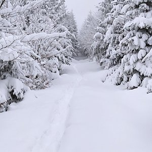 Moravskoslezské Beskydy
