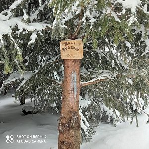 MartinB na vrcholu Malá Stolová (29.1.2021 9:35)