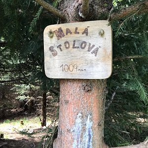 Veronika Spáčilová na vrcholu Malá Stolová (5.6.2021 11:50)