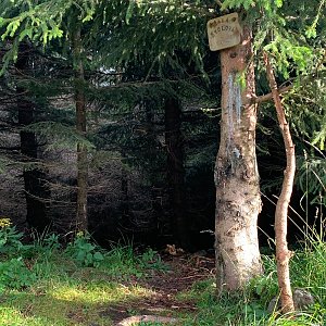 Veronika Matoušková na vrcholu Malá Stolová (2.9.2021 18:00)