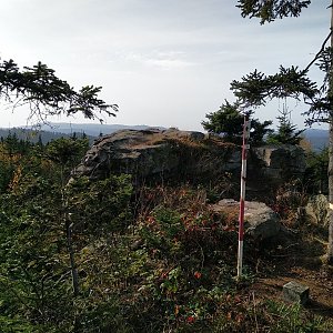Badger on the summit of Větrný (30.10.2022 9:31)