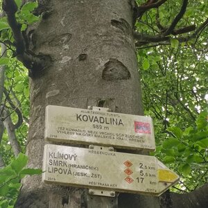 Petr Wendler na vrcholu Kovadlina (24.6.2024 7:45)