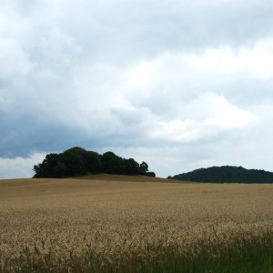 Holi na vrcholu Hůrka (31.7.2025 14:00)