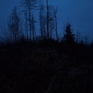 Cyklista 73 na vrcholu Březina  (29.2.2024 6:07)