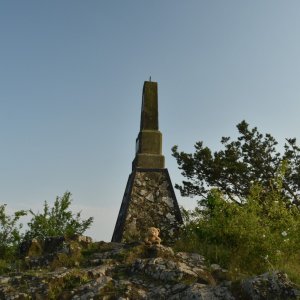 medvěd cestovate na vrcholu Mužský (3.6.2025 16:20)