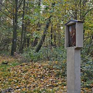 Jarda Vála on the summit of Kotelský vrch (22.10.2019 10:07)