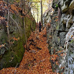 Jarda Vála on the summit of Špičák (22.10.2019 12:07)