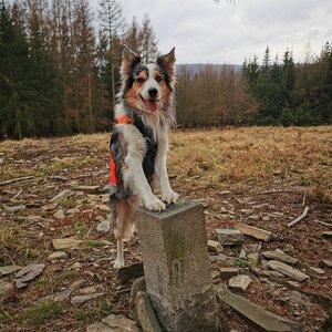 Jiří Králík on the summit of Dřínová (2.3.2024 14:49)