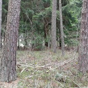 Vladimír Grančay na vrcholu Vacovický vrch - J vrchol (6.3.2024 15:27)