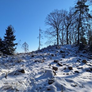Cyklista 73 on the summit of Stožec (20.2.2025 9:34)