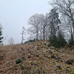 Cyklista 73 on the summit of Stožec (24.1.2026 9:28)