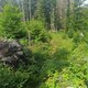 Petr Švejnoha on peak Skalnatý hřbet V