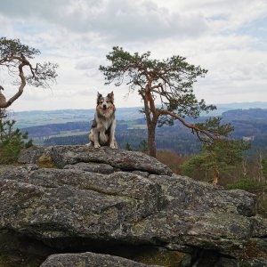 Jiří Králík on the summit of Blaník (5.4.2025 12:16)