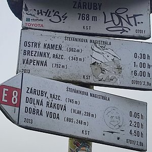 Lili na vrcholu Záruby (14.10.2022 14:20)