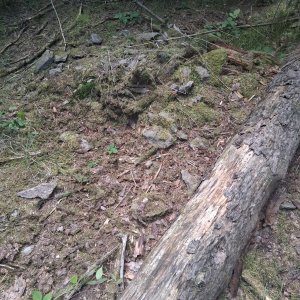 Milton na vrcholu Zlatý vrch (19.7.2025 15:24)