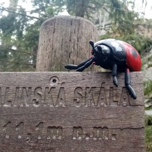 Jiřina on the summit of Malinská skála (19.4.2026 9:27)