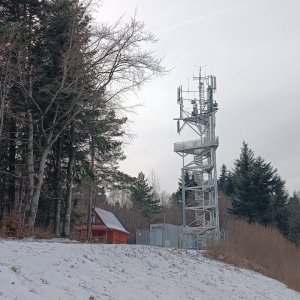 Milda on the summit of Chełm (6.1.2026 15:01)