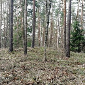 Vladimír Grančay na vrcholu Dřetíny (20.3.2024 14:59)