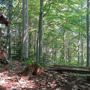Milda on the summit of Kiczora Kamienicka (4.8.2024 10:25)