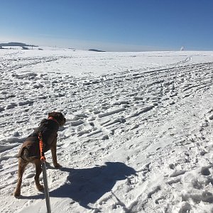 Jana Franceska Malá na vrcholu Krkavec (14.2.2021 23:02)