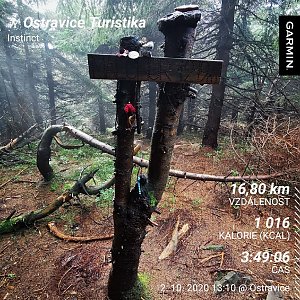 Medvěd Codiak na vrcholu Malchor (2.10.2020 15:40)