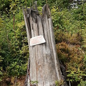 Blanka Holleschová na vrcholu Nad Kršlí (3.8.2019 14:02)