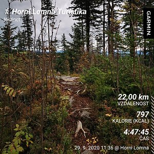 Medvěd Codiak na vrcholu Nad Kršlí (29.9.2020 15:20)