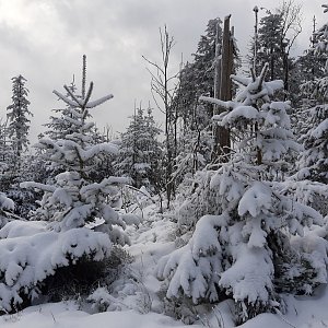 Markéta Čeníková na vrcholu Nad Kršlí (8.1.2021 12:15)