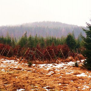Vladimír Grančay na vrcholu Liščí hora (24.12.2016 13:40)