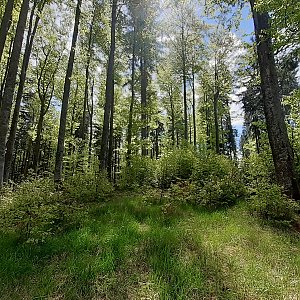 Ráďa Hojdís na vrcholu Liščí hora (30.5.2021 21:24)