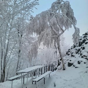Pavel Vohryzka on the summit of Vlčí hora (1.2.2026 14:51)