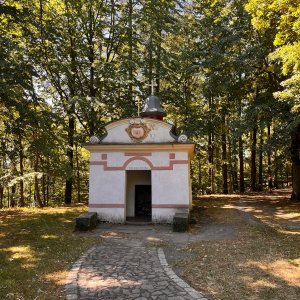 Betička na vrcholu Křížová hora (13.8.2026 11:25)