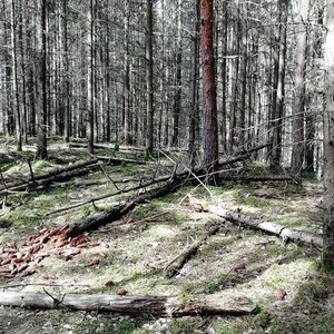 Vladimír Grančay na vrcholu Ve Vrchu (27.3.2024 11:20)