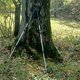 PA!WELL na vrcholu Štramberčík JV