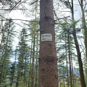 Horalka Anička na vrcholu Beskid (10.3.2024 10:30)