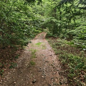 Ila na vrcholu Beskid (21.8.2025)