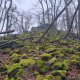 Jiří Škorec on peak Malý Ostrý JZ (29.11.2024)