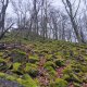 Jiří Škorec on peak Malý Ostrý JZ (29.11.2024)
