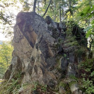 Nojby on the summit of Kuklov (23.7.2025 6:44)
