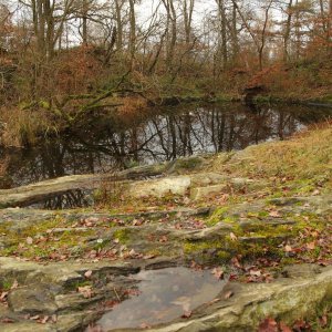 Dandy na vrcholu U jezírka (26.11.2022 13:40)