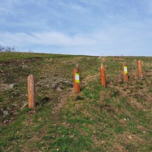 Horalka Anička na vrcholu Nagy-Hideg-hegy (30.3.2024 13:45)