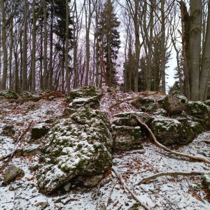 Ľuboš na vrcholu Hoľazne (21.12.2024 12:10)